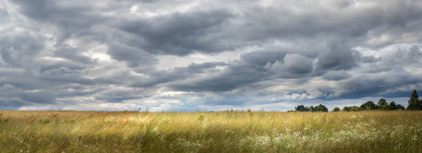 istock panorama of landscape with meadow with tall grass, cloudy sky 1350831872