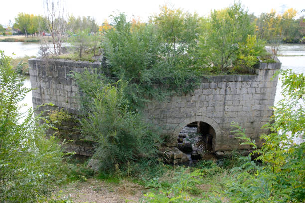 istock Ruins of an old stone mill in the river 1350833609