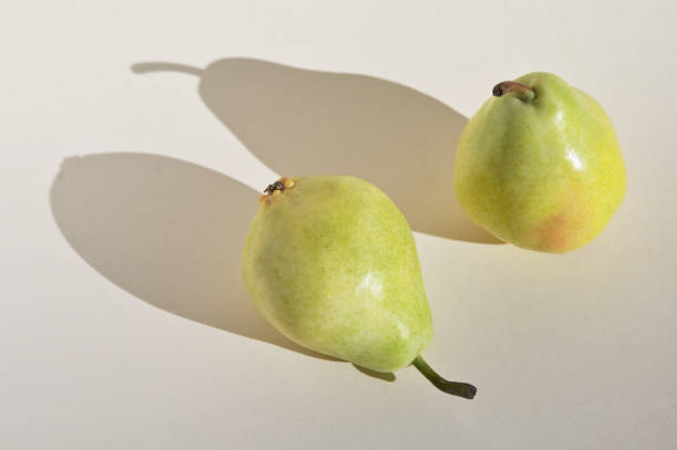 Abstract Homonyms Example Pair of Pears stock photo