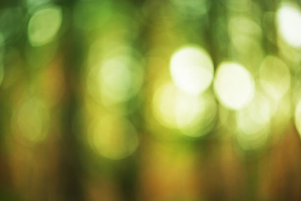 istock Natural green defocus light nature abstract background. 1350836861