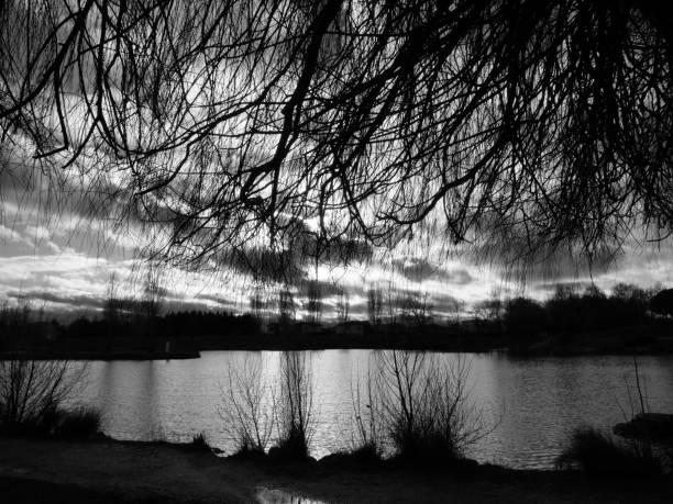 istock Shadow of the lake 1350839922