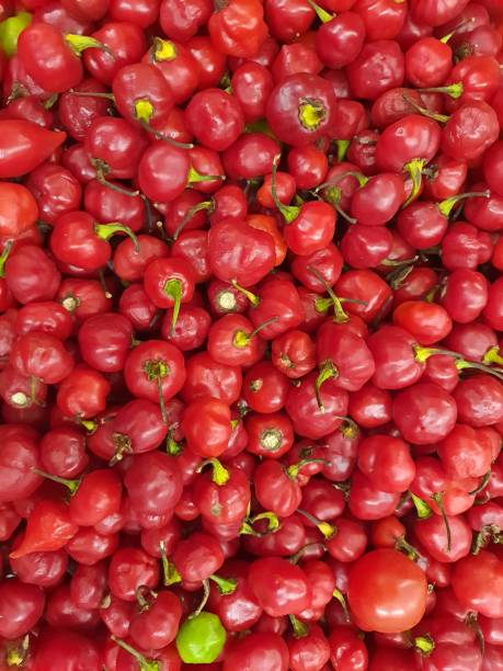 istock Lots of sweet pepper, red, backgrounds and textures. 1350840102