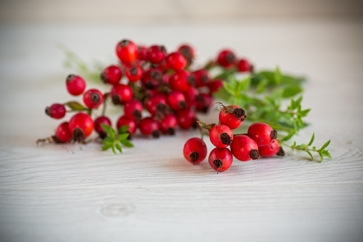 a bunch of ripe red rose hips on a wooden table