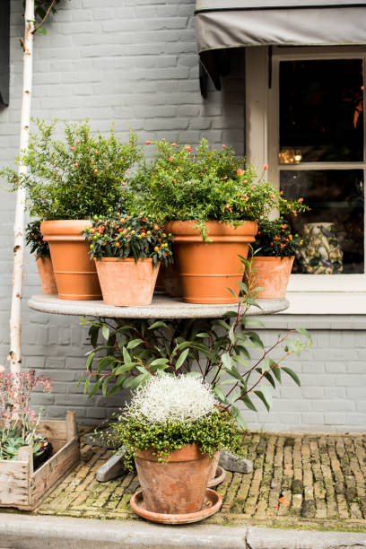 istock flowerpot  in front of a house 1350842016