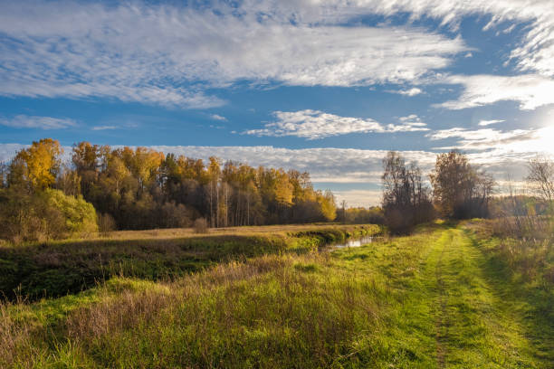 istock A beautiful autumn landscape with a grassy road running along a small river. 1350842843