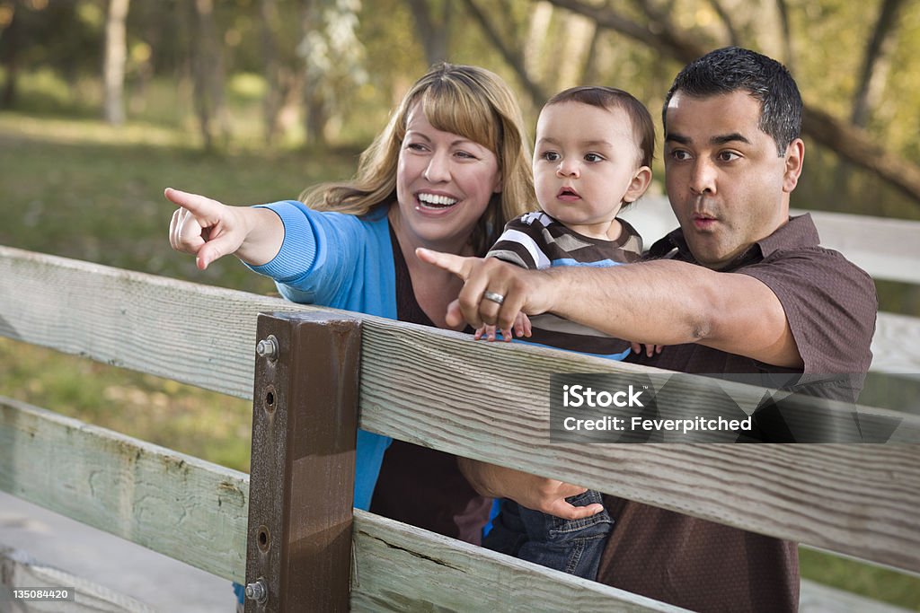 Famiglia di razza mista felice giocando nel parco - Foto stock royalty-free di Adulto