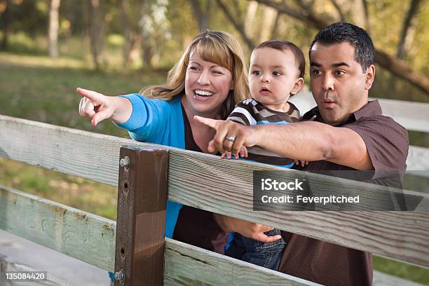 Famiglia Di Razza Mista Felice Giocando Nel Parco - Fotografie stock e altre immagini di Adulto - Adulto, Allegro, Ambientazione esterna