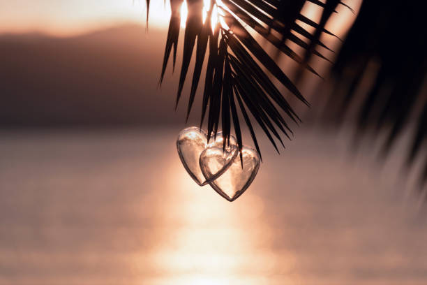 dwa ozdobne serca wiszące na gałęzi palmy na tle romantycznego zachodu słońca nad morską plażą oświetloną światłem słonecznym. zakochana para. święta bożego narodzenia, koncepcja walentynkowy - beach love heart shape two objects zdjęcia i obrazy z banku zdjęć