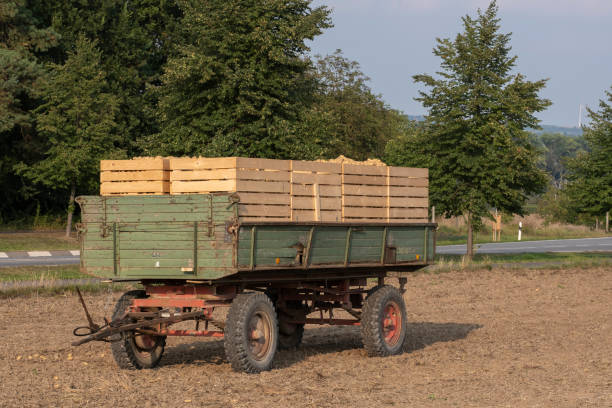 istock A trailer in a field in autumn 1350851780