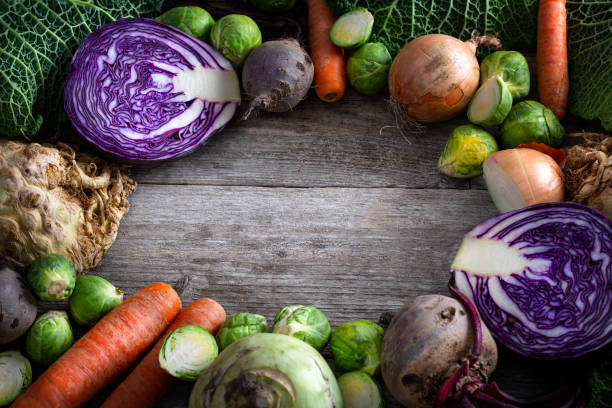 jesienne warzywa - kohlrabi purple cabbage organic zdjęcia i obrazy z banku zdjęć