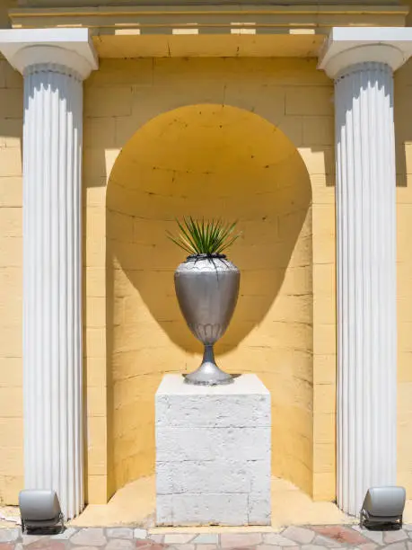 Vase with tropical plant on pedestal between two classic architectural columns. Decorative arch and niche in wall of building. Classicism.
