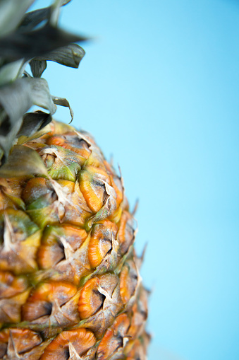 Ripe orange pineapple on a bright blue background. Close up