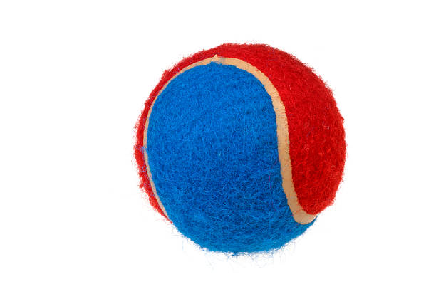 istock dog tennis ball 135085642