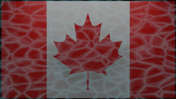 istock Maple of Canada in underwater 1350857115