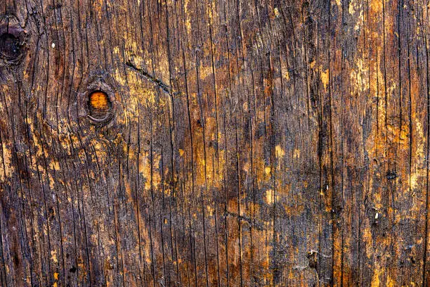 Abstract Grunge Wooden Texture with Cracks and Roughness