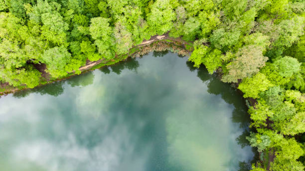 istock Aerial view of wild forest lake 1350860639