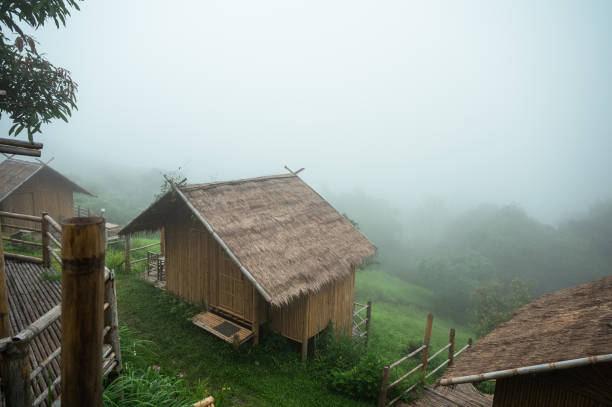 cabana de palha de madeira resort em neblina na colina na floresta tropical - antique photo - fotografias e filmes do acervo