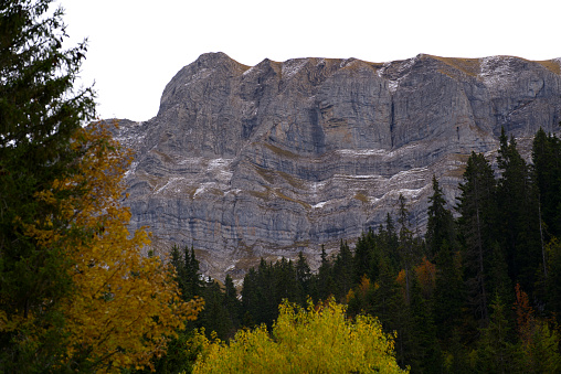 灰色の曇りの秋の日にベルナー高地のアクサルプから見た秋の山のパノラマ - カラー画像のストックフォトや画像を多数ご用意 - カラー画像, スイス, ブリエンツ - iStock