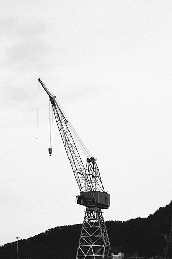 Black and white image of a crane