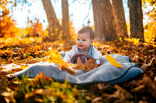 Cute baby girl on blanket at park on sunny autumn day
