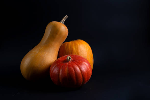 orange pumpkins on a black background.