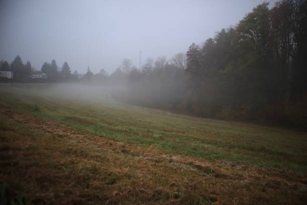 istock Wafts of Mist 1350866451
