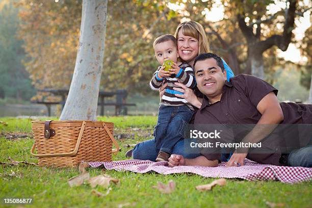 Szczęśliwy Mieszanej Rasy Etniczne Rodziny O Piknik W Parku - zdjęcia stockowe i więcej obrazów Piknik