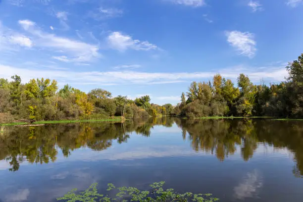 Photo of Landscape Vegas of the Alagón river in Coria, Extremadura, Spain. Urban life concep