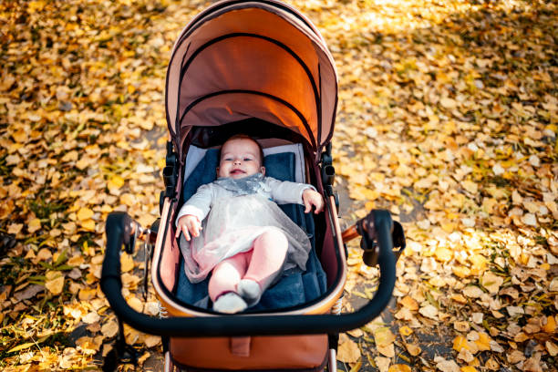 istock Baby girl lying in a stroller 1350869011
