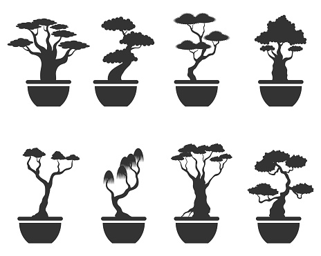 Bonsai vector set , illustration