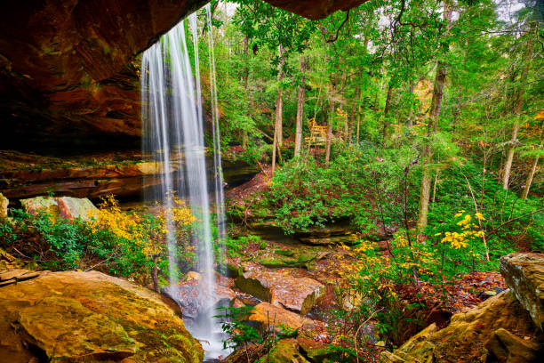 istock View of Van Hook Falls from Behind Falls. 1350875461