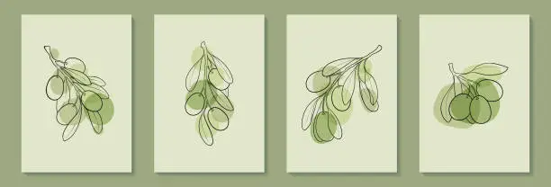 Vector illustration of Set of creative minimalist hand draw illustrations floral outline olive pastel green simple shape for wall decoration, postcard or brochure cover design