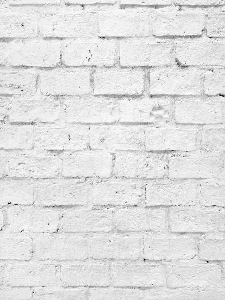 istock close up shot at the surface of bumpy rusty white brick pattern wall with stamped of dog footprint. natural stone brick Wall texture for loft, industrial concept design. high defination image. 1350877847