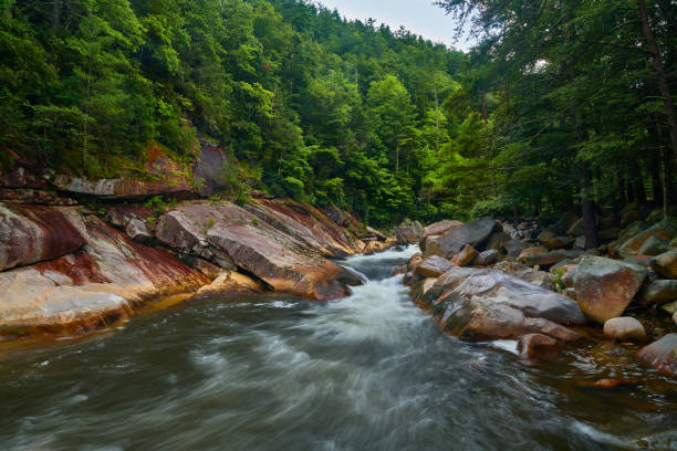 Photo of Rapids on Wilson Creek in North Carolina.