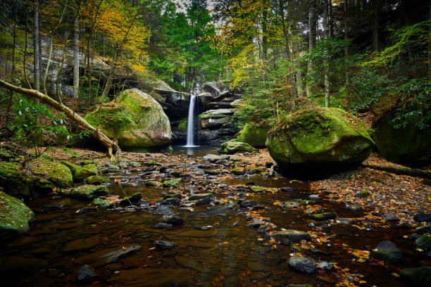 istock Beautiful Flat Lick Falls with Fall colors near Gray Hawk, Kentucky. 1350879051