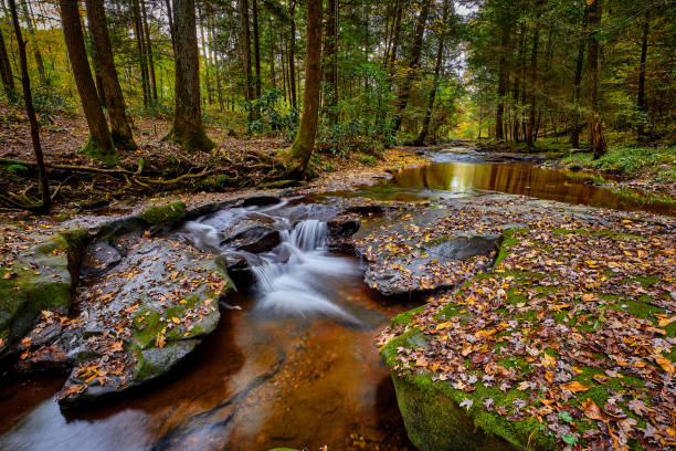 istock Small waterfall on Flat Lick Creek near Gray Hawk, Kentucky. 1350879074