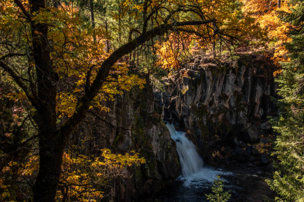 istock Autumn at McCloud Falls, California 1350880796