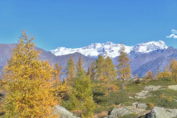 Monte Rosa seen from the top of the Gressoney valley