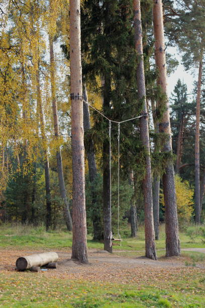 istock lonely swing by the lake 1350881078