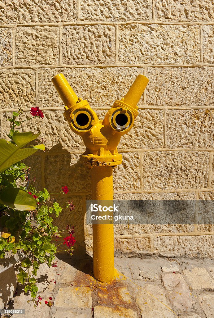hydrant - Zbiór zdjęć royalty-free (Bez ludzi)