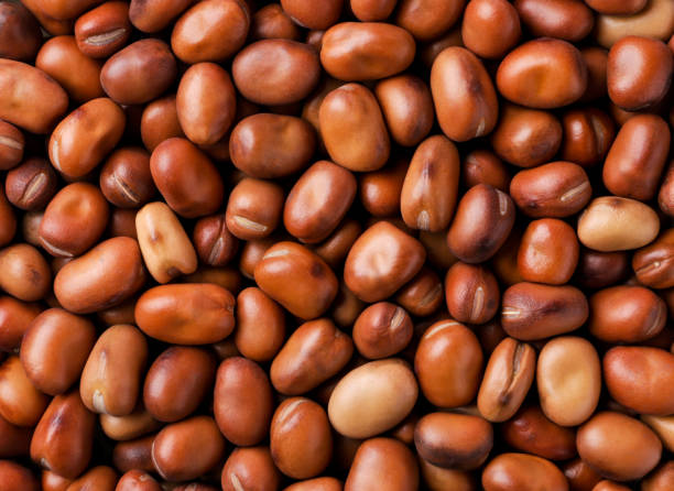 istock Dried brown beans background. The view from top 1350886304