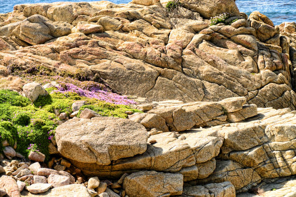 Asilomar State Marine Reserve Monterey California