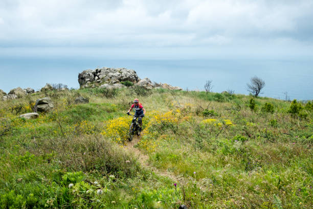 Single woman mountain bike rider in Serra de Sintra Portugal Single woman female  mountain bike rider on Donkey / Burros trail in spring flower covered hillside leading down toward Guincho beach in Serra de Sintra in Portugal serra de sintra stock pictures, royalty-free photos & images