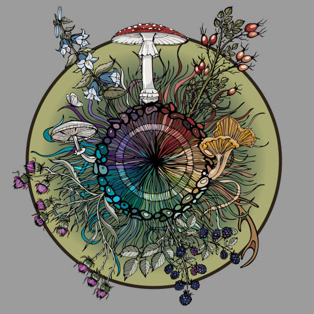Magic enchanted wheel with forest plants A wreath with woven ribbons and stones with wild mushrooms and berries will take you to an enchanted forest. amanita muscaria stock illustrations