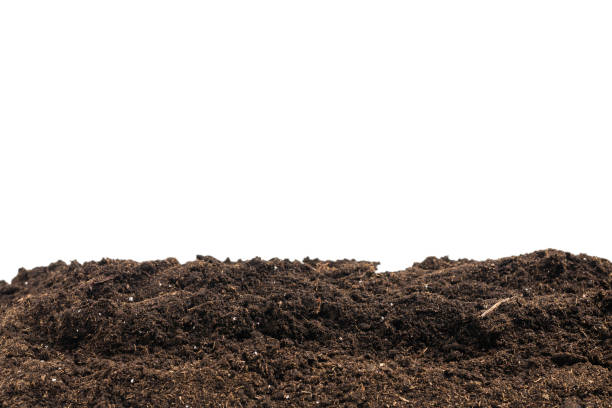 istock Soil for plant isolated on white background. 1350894842