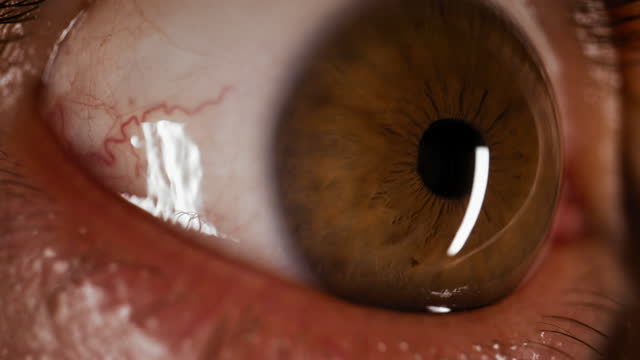 Close up of brown eyes