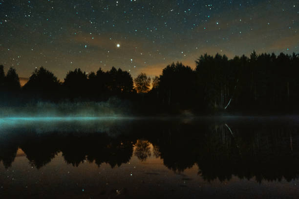 istock Night starry sky over the forest and the river 1350902088