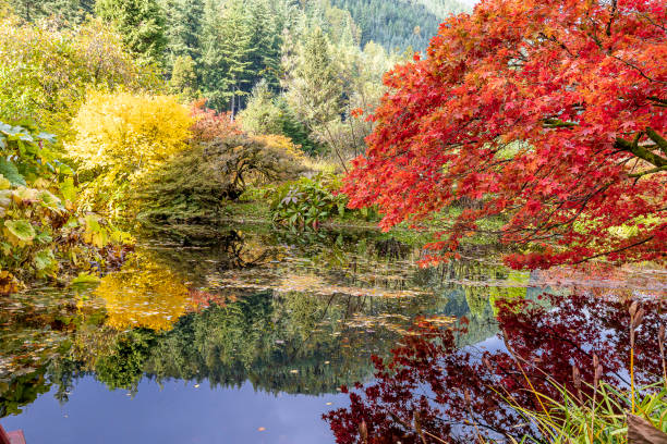 istock Small lake in autumn. 1350904668