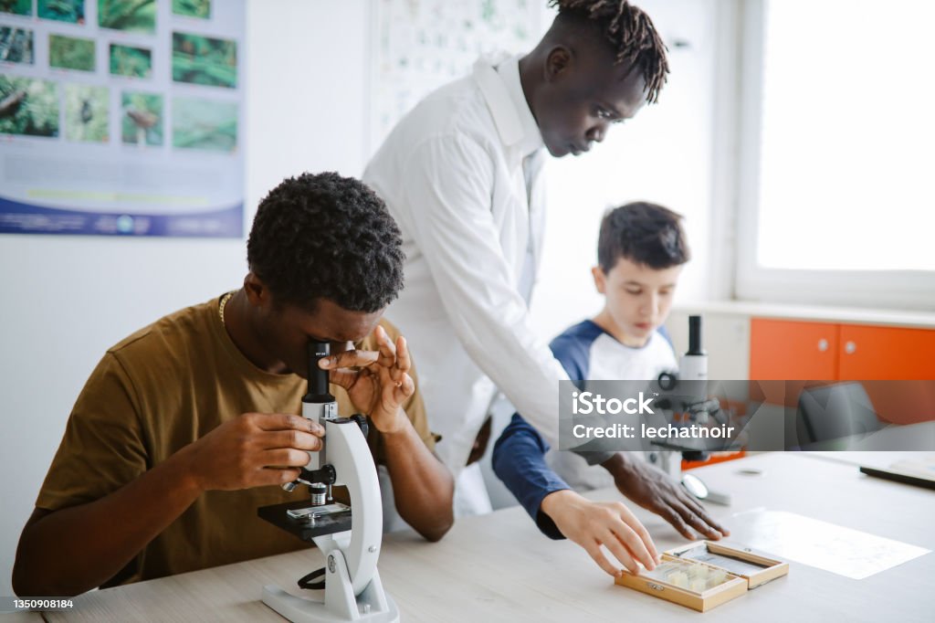 Teacher and children during the biology class in high school High School Student Stock Photo