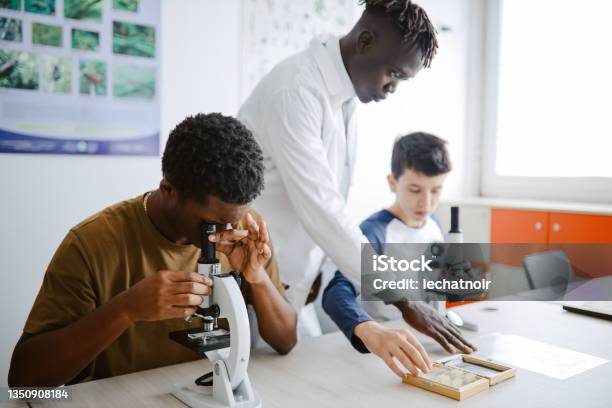 Teacher And Children During The Biology Class In High School Stock Photo - Download Image Now
